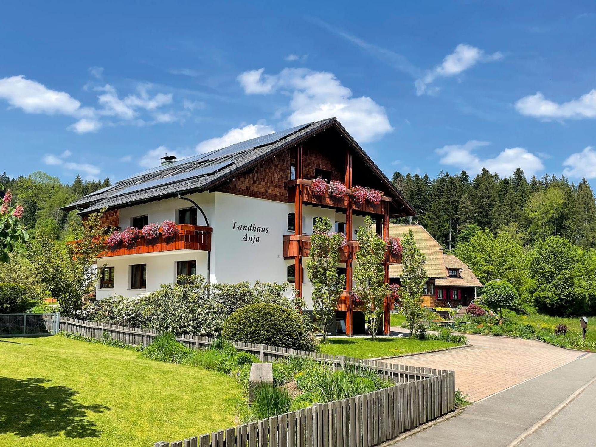 Apartamento Landhaus Anja Freudenstadt Exterior foto